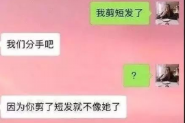 崇文如果欠债的人消失了怎么查找，专业讨债公司的找人方法